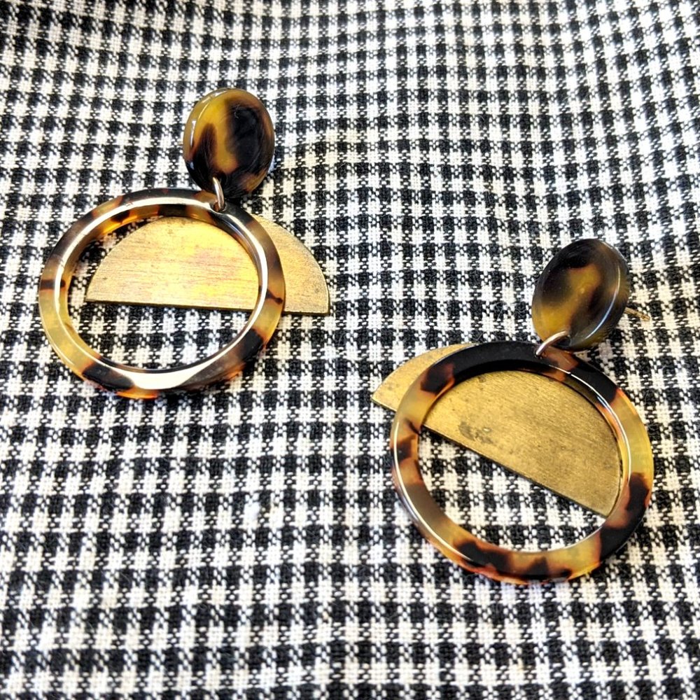 Resin and Brass Dangle Earrings